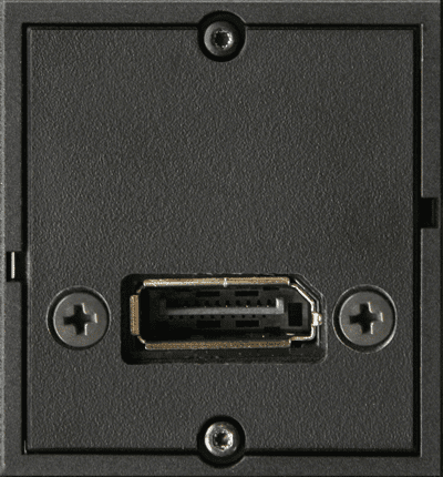 Custom module DP socket